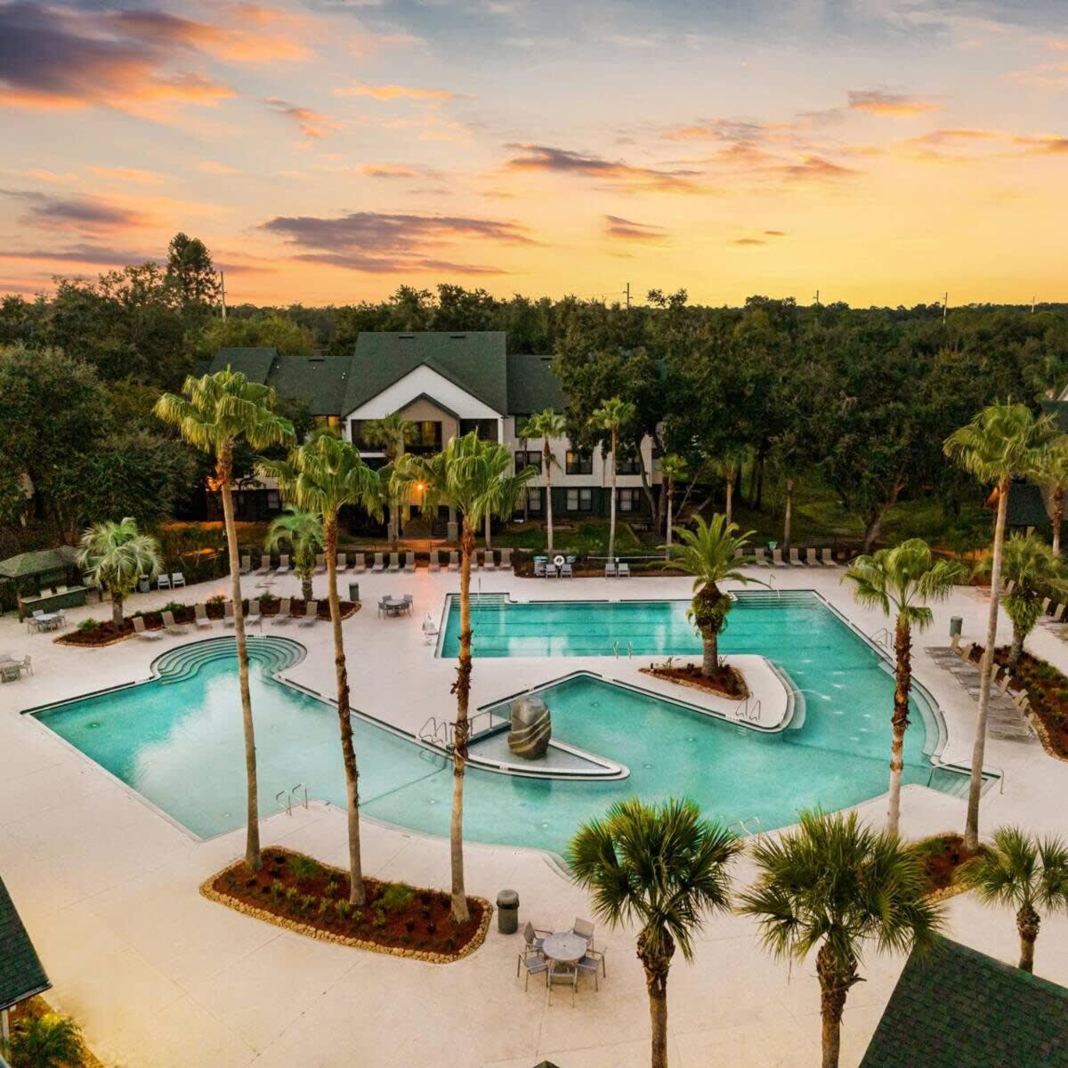 坦帕4Bd 2 Mi To Usf Free Pool + 24 Hour Gym别墅 外观 照片