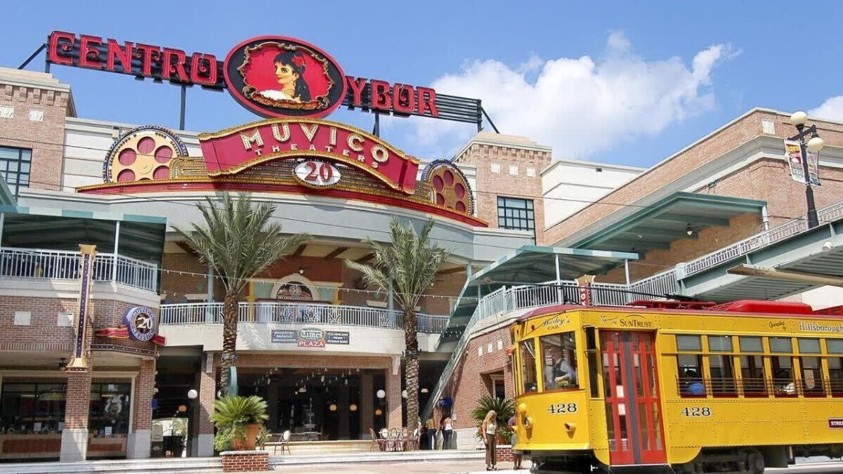 坦帕4Bd 2 Mi To Usf Free Pool + 24 Hour Gym别墅 外观 照片