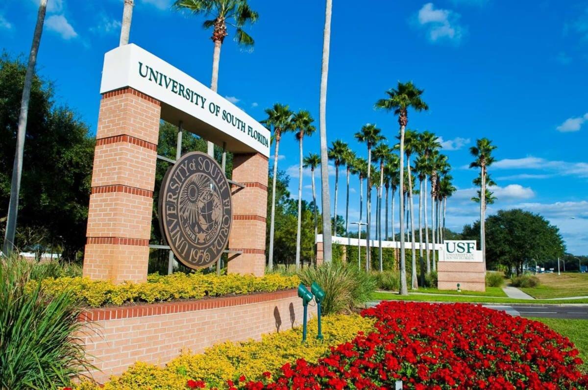 坦帕4Bd 2 Mi To Usf Free Pool + 24 Hour Gym别墅 外观 照片