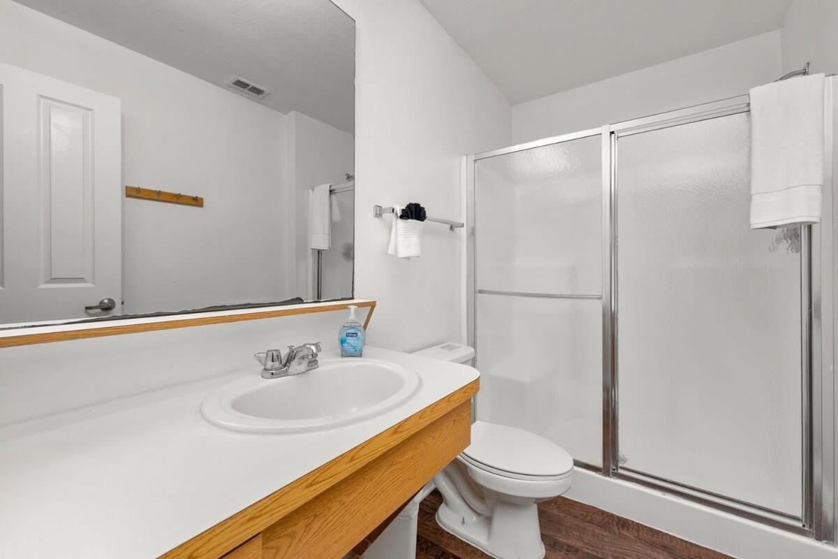 坦帕4Bd 2 Mi To Usf Free Pool + 24 Hour Gym别墅 外观 照片