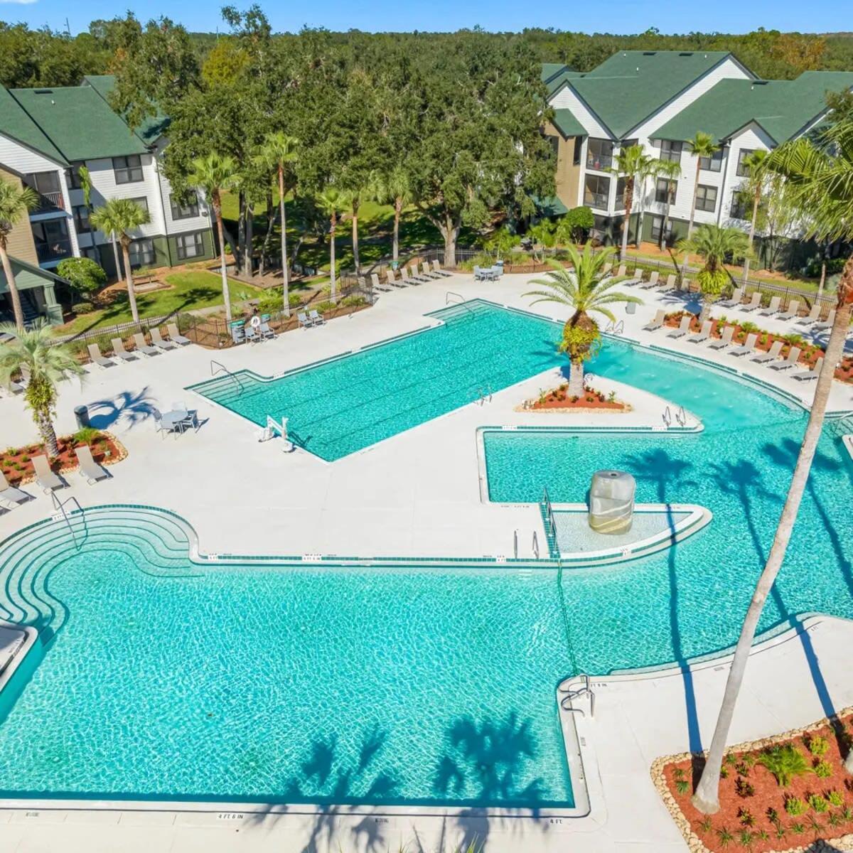 坦帕4Bd 2 Mi To Usf Free Pool + 24 Hour Gym别墅 外观 照片